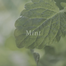 Load image into Gallery viewer, Aroma Oil Silent Sea