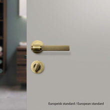 Load image into Gallery viewer, Toilet fittings R-E antique bronze